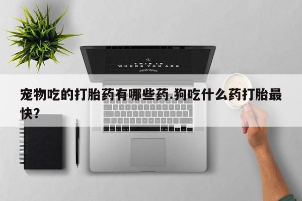 打胎药大月份用联系微信宠物吃的打胎药有哪些药.狗吃什么药打胎最快？