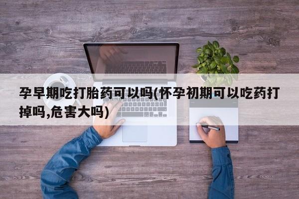 打胎药大月份用联系微信孕早期吃打胎药可以吗(怀孕初期可以吃药打掉吗,危害大吗)