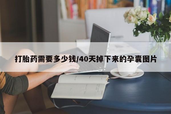 打胎药大月份用联系微信打胎药需要多少钱/40天掉下来的孕囊图片
